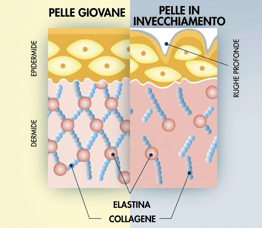 Un approccio completo per prenderti cura del tuo contorno occhi.